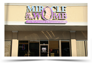 Miracle In The Womb - Storefront
